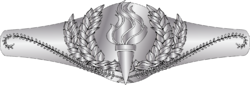 Civilian Pin ASM.png