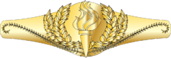 Civilian Pin CSM.png
